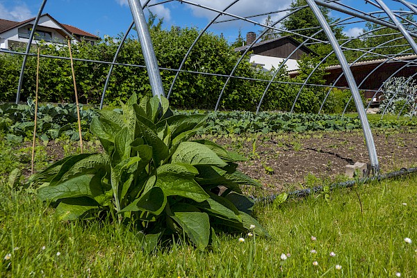 Biozertifizierte Gärtnerei